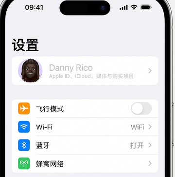 枣阳appleID维修服务iPhone设置中Apple ID显示为灰色无法使用 