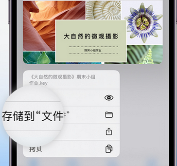 枣阳apple维修中心分享iPhone文件应用中存储和找到下载文件