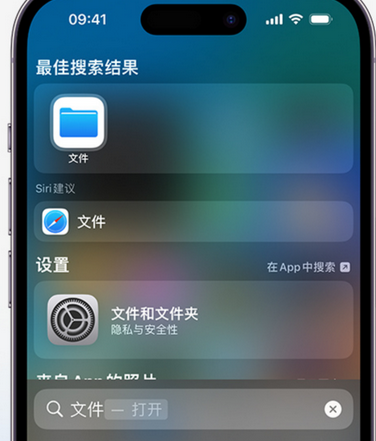 枣阳apple维修中心分享iPhone文件应用中存储和找到下载文件