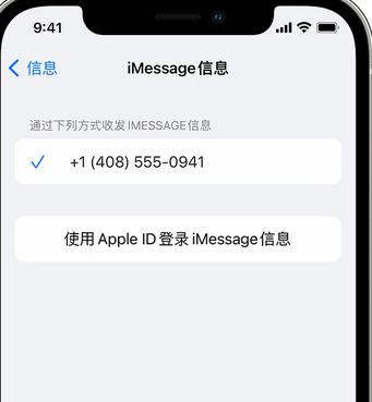 枣阳apple维修iPhone上无法正常发送iMessage信息 