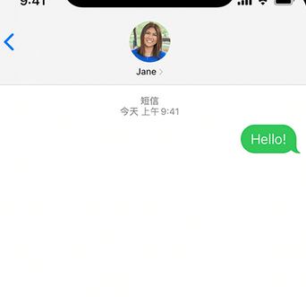 枣阳apple维修iPhone上无法正常发送iMessage信息