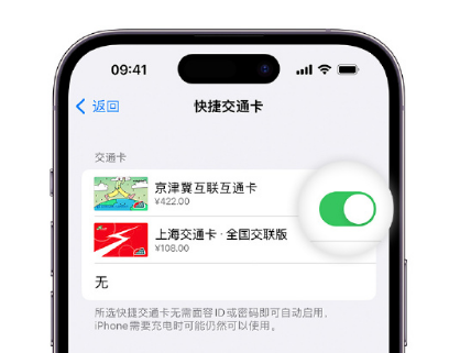 枣阳apple维修点分享iPhone上更换Apple Pay快捷交通卡手绘卡面 