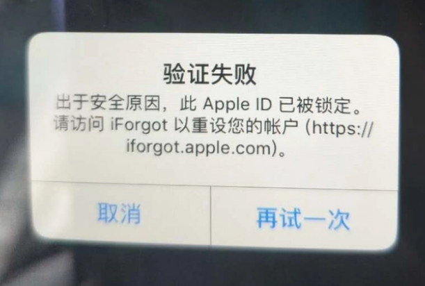 枣阳iPhone维修分享iPhone上正常登录或使用AppleID怎么办 