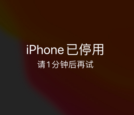 枣阳苹果手机维修分享:iPhone 显示“不可用”或“已停用”怎么办？还能保留数据吗？ 