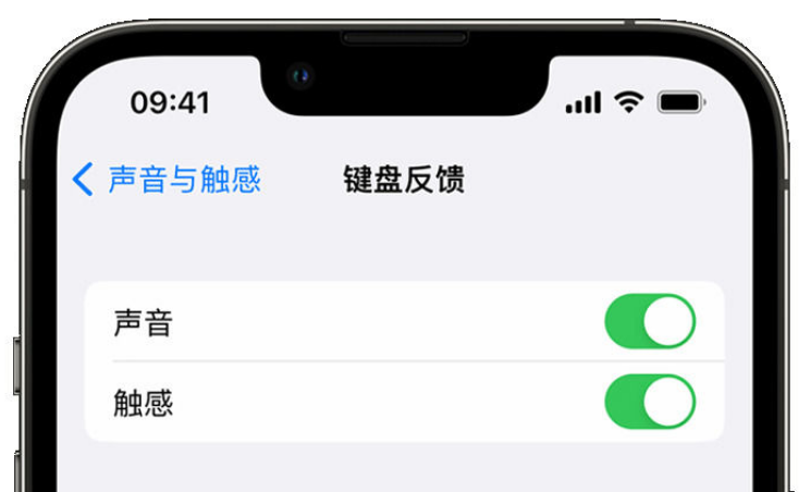 枣阳苹果手机维修分享iPhone 14触感键盘使用方法 