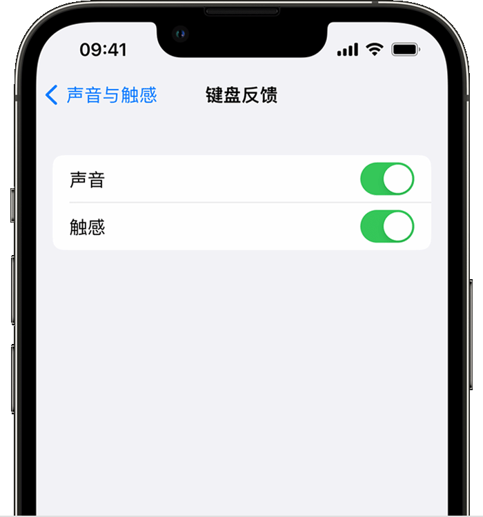 枣阳苹果14维修店分享如何在 iPhone 14 机型中使用触感键盘 