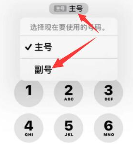 枣阳苹果14维修店分享iPhone 14 Pro Max使用副卡打电话的方法 