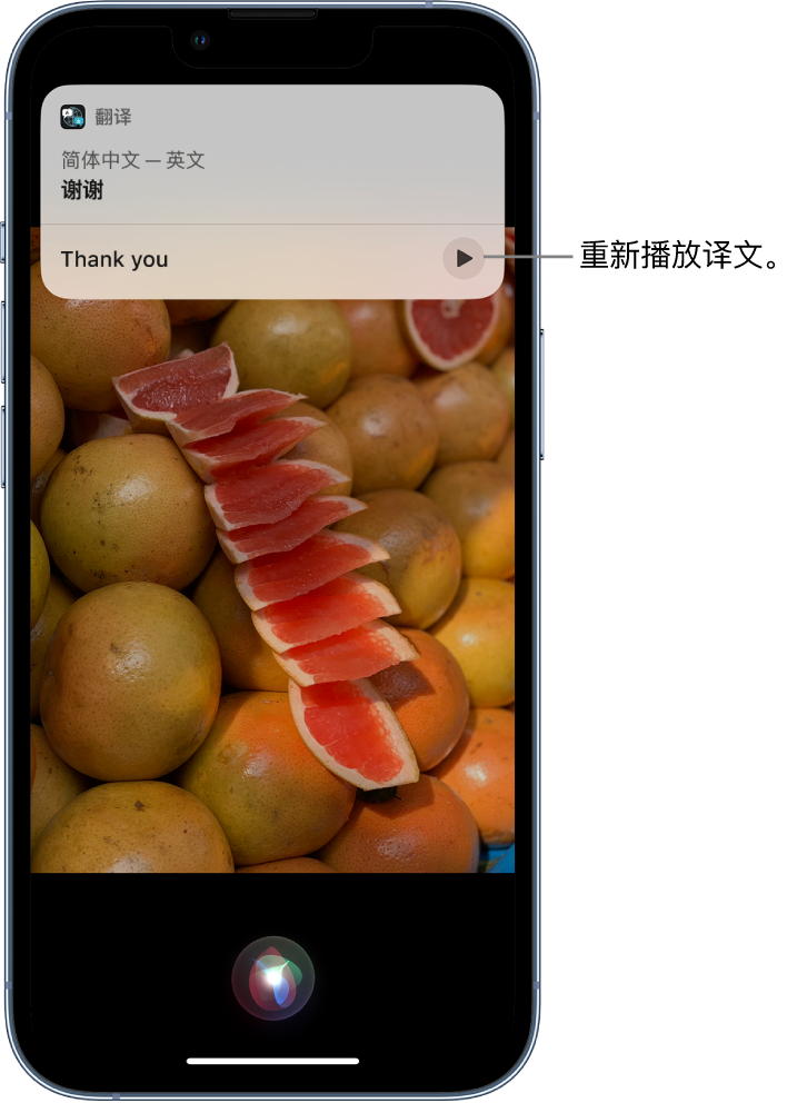 枣阳苹果14维修分享 iPhone 14 机型中使用 Siri：了解 Siri 能帮你做什么 