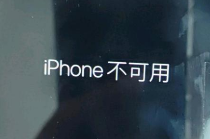 枣阳苹果服务网点分享锁屏界面显示“iPhone 不可用”如何解决 