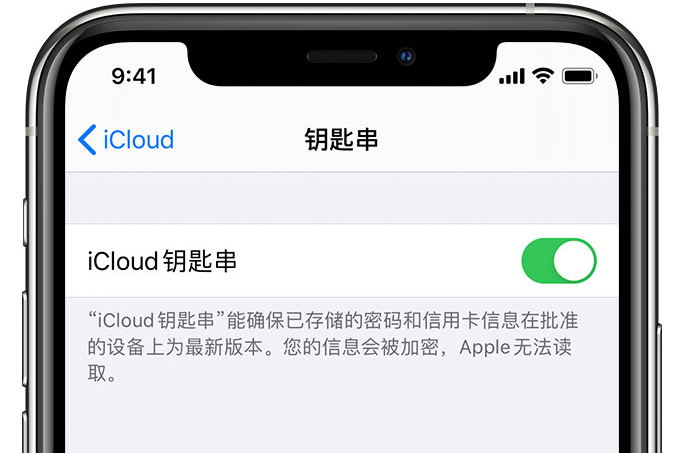 枣阳苹果手机维修分享在 iPhone 上开启 iCloud 钥匙串之后会储存哪些信息 