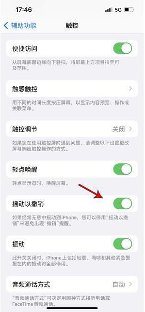 枣阳苹果手机维修分享iPhone手机如何设置摇一摇删除文字 