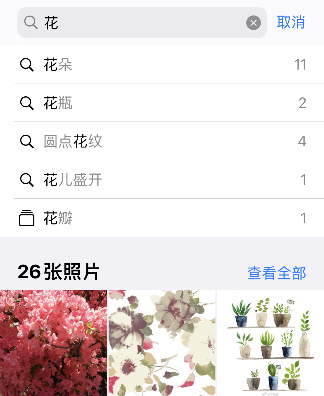 枣阳苹果手机维修分享iPhone 小技巧 