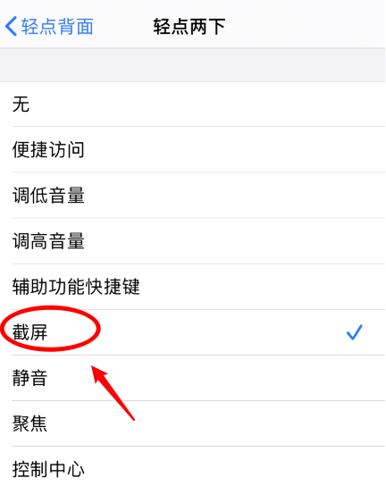 枣阳苹果手机维修分享iPhone12如何启用双击截屏 