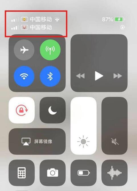 枣阳苹果手机维修分享为 iPhone 12 双卡设置标签 