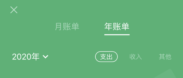 枣阳苹果手机维修分享如何在 iPhone 上查看支付宝和微信年支出账单 