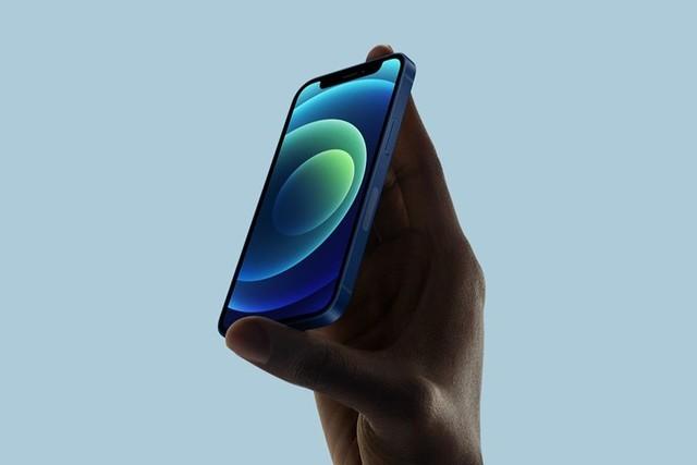 枣阳苹果手机维修分享iPhone 12 mini辐射很大吗 