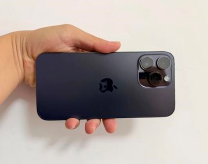 枣阳苹果维修点分享iPhone 14 Pro Max发烫多重诱因剖析 